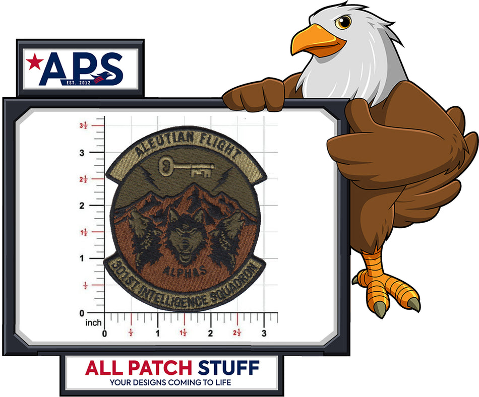 301st Intelligence Squadron