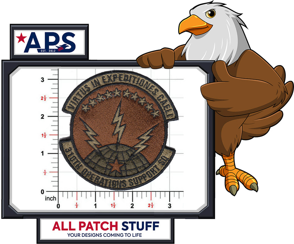 310th Operations Group Sq