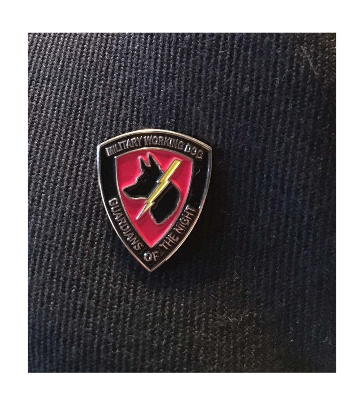 Guardians of the Night (GOTN) Lapel Pin