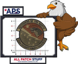 733rd Security Forces Squadron