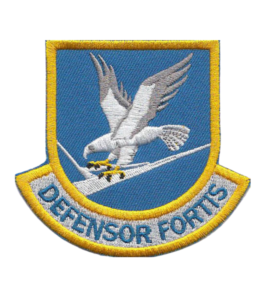 Large Custom Security Forces Defensor Fortis Blue Multicam Patch