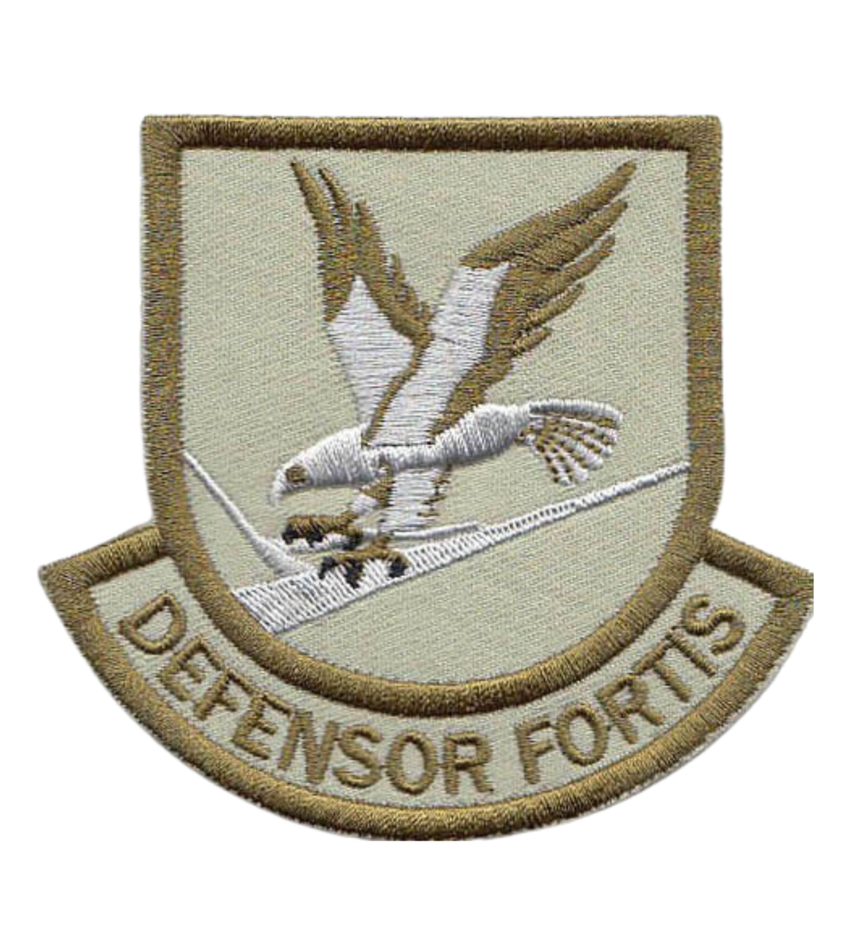 Large Custom Security Forces Defensor Fortis Brown Multicam Patch