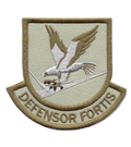 Large Custom Security Forces Defensor Fortis Brown Multicam Patch