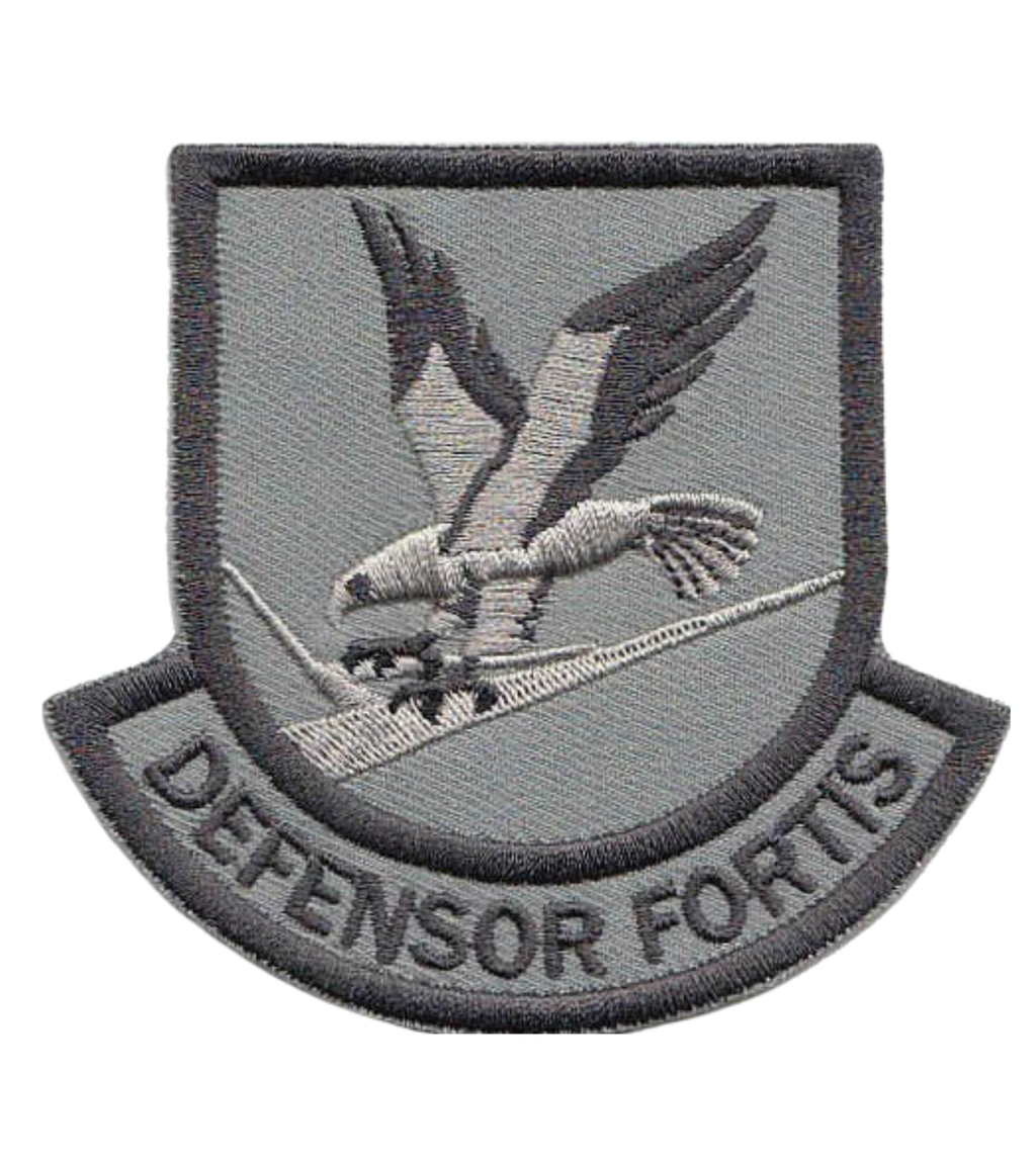 Large Custom Security Forces Defensor Fortis Grey Multicam Patch