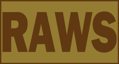 Radar, Airfield & Weather Systems (1C8X3) RAWS Shoulder Identifier Multicam OCP Patch