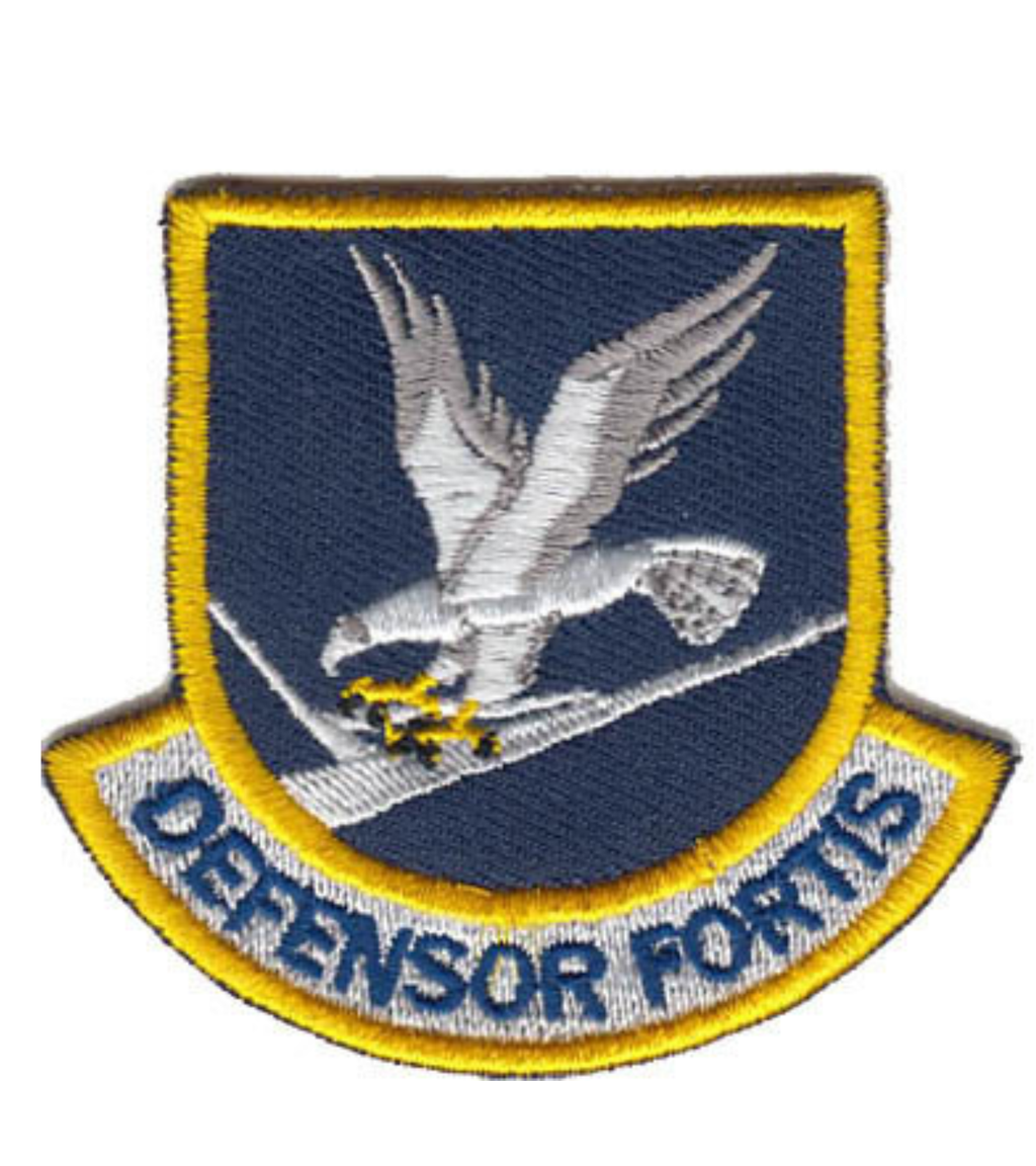 Security Forces Defensor Fortis Blue Patch