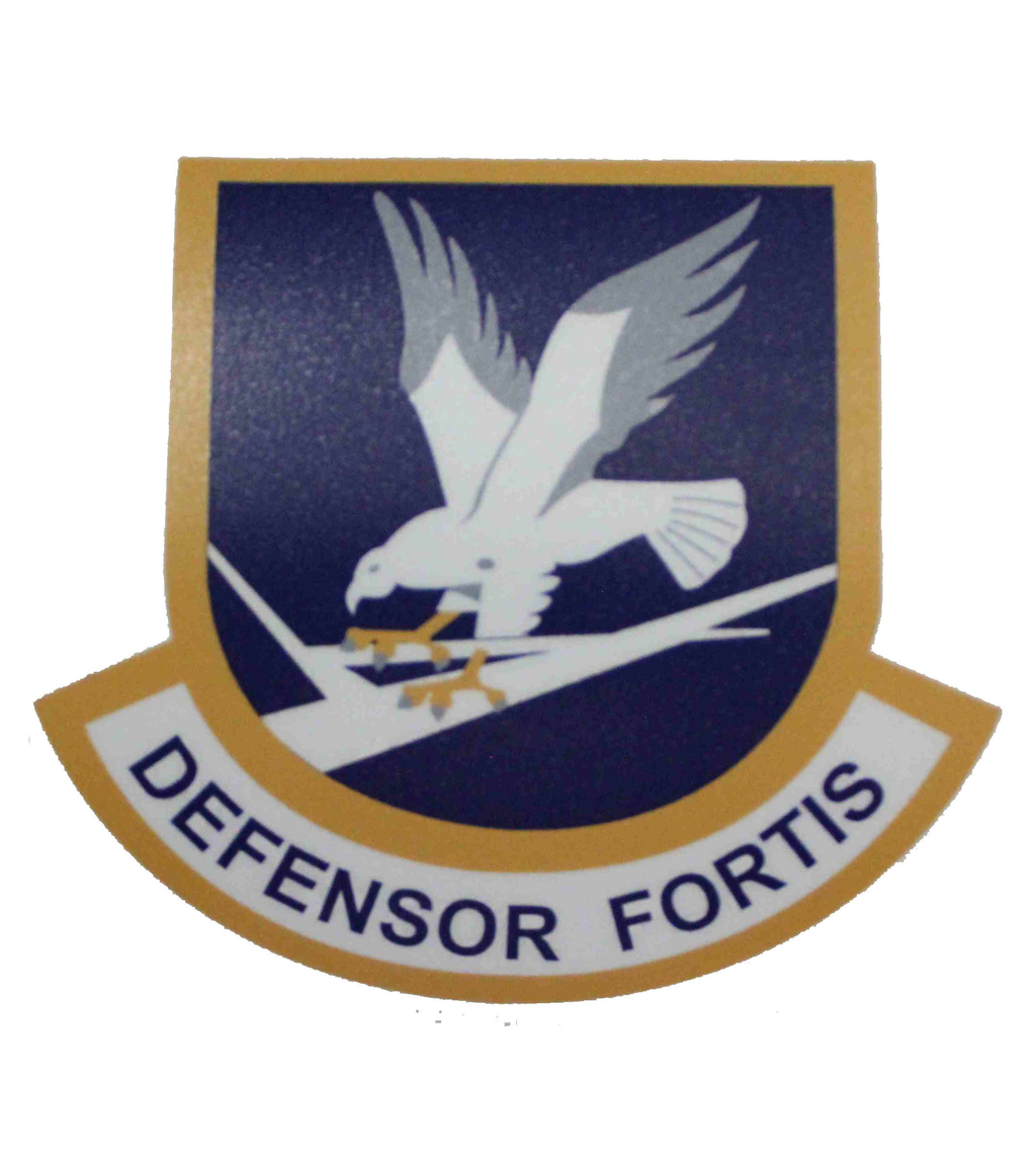 Ltcol Defensor Fortis Security Forces Defensor Fortis Shield Sticker – ALL Patch Stuff