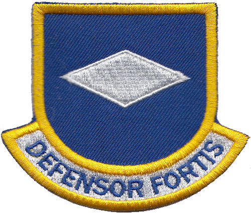 Ltcol Defensor Fortis Security Forces/Defensor Fortis First Sgt Patch - Color – ALL Patch Stuff