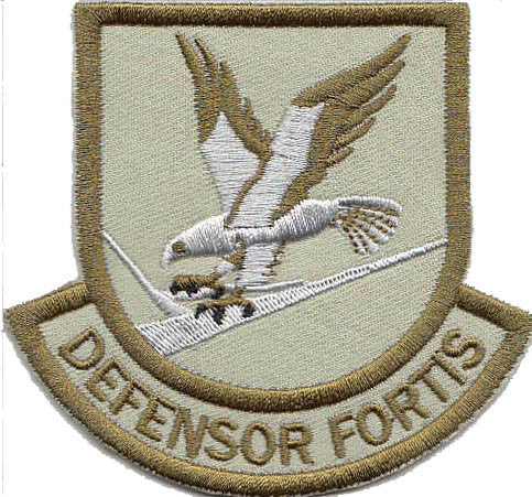 Large Custom Security Forces Defensor Fortis Brown Multicam Patch - alternate view