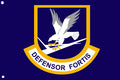 Security Forces / Defensor Fortis Large Blue Flag