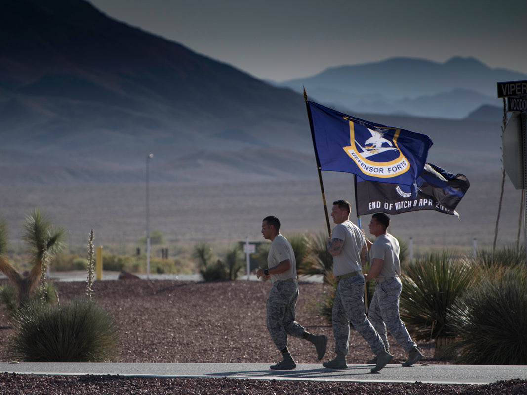 Security Forces / Defensor Fortis Large Blue Flag - alternate view
