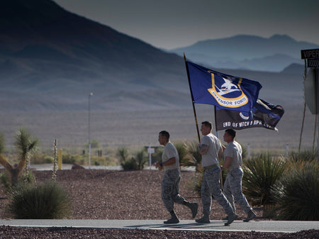 Security Forces / Defensor Fortis Large Blue Flag - alternate view
