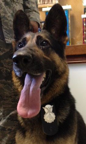 K-9 / K9 Badge Holder - Black or Brown - alternate view