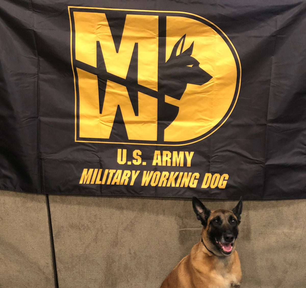31 Kilo / 31K Army MP K-9 / K9 MWD Flags - Black - alternate view