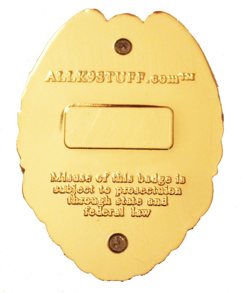 Marine Corps USMC MP K-9 / K9 Badge / Coin - alternate view